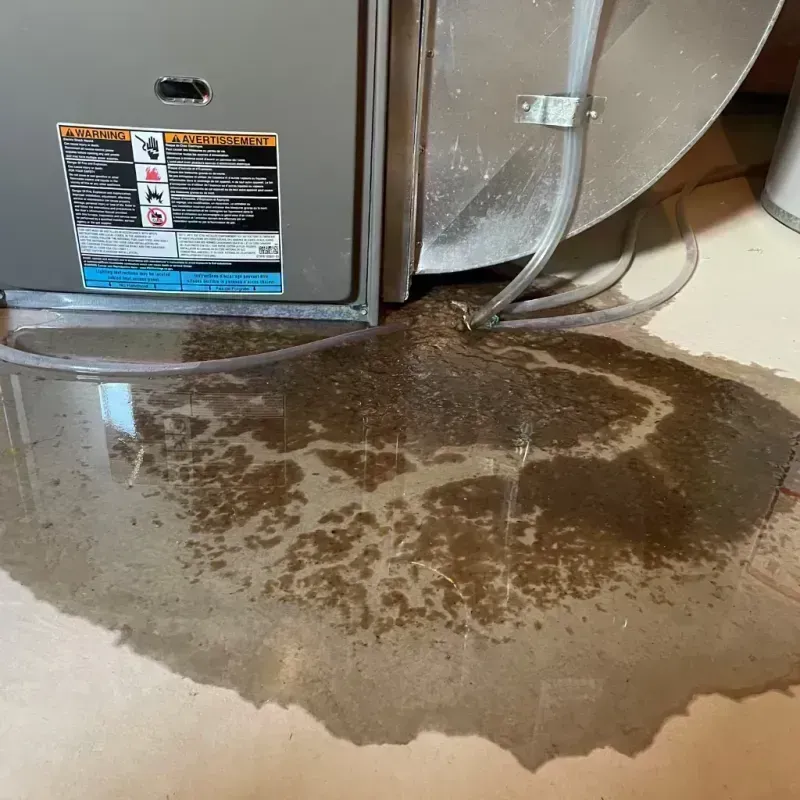 Appliance Leak Cleanup in Lemont, IL